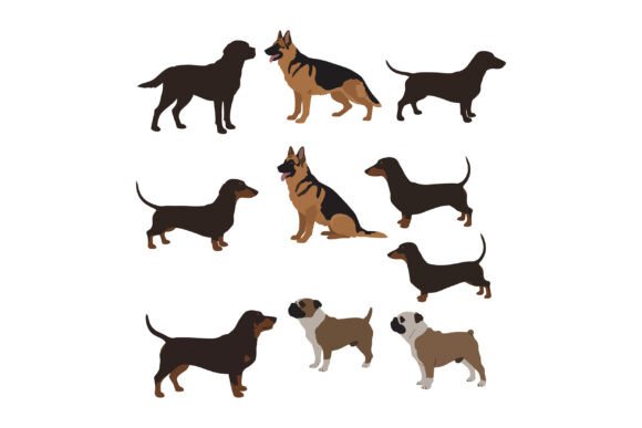 Dog Breeds Collection with Dachshund Ger Review