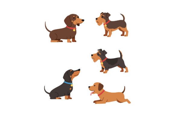Five Small Dog Breeds Sitting and Standing