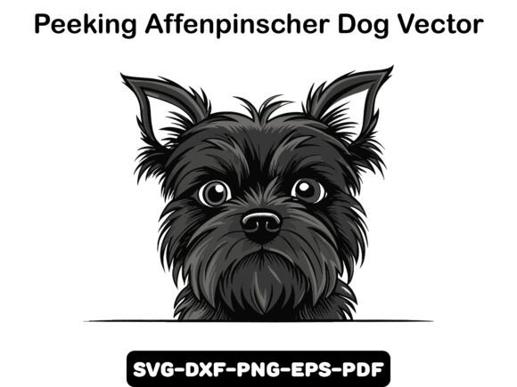 Peeking Affenpinscher Dog Vector Review