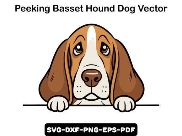 Peeking Basset Hound Dog Vector Review