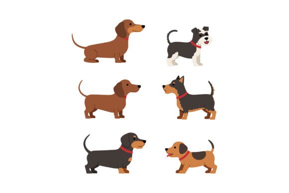 Six Different Dog Breeds in Flat Style C